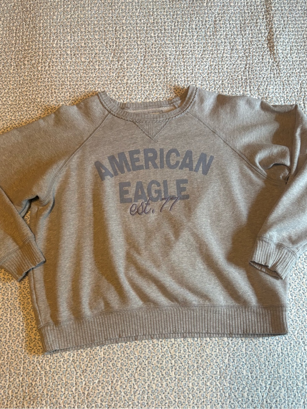 American Eagle Seriously Lived in Sweatshirt
